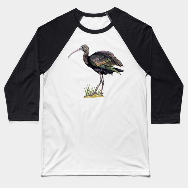 ibis Baseball T-Shirt by obscurite